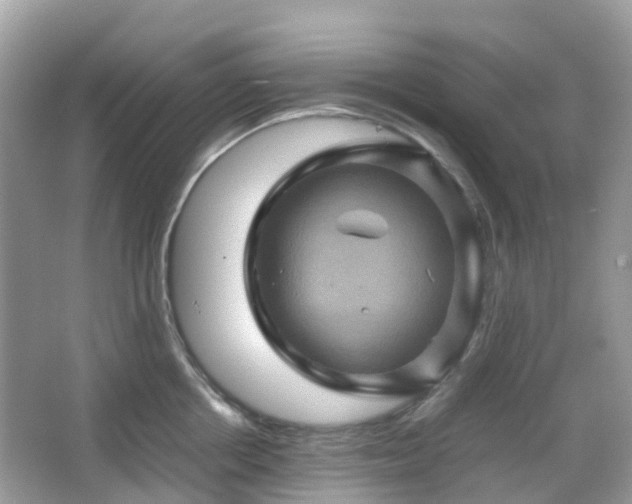 X0000066110858200603131300