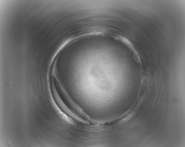 X0000066110859200603131300