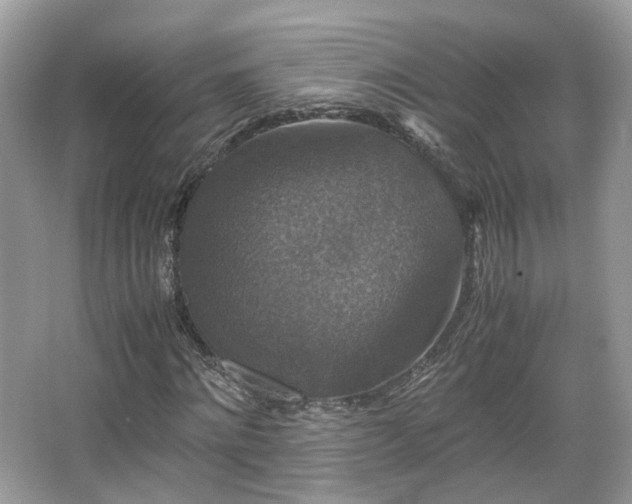 X0000066110868200603131259