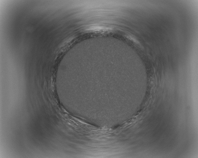 X0000066110869200603131259