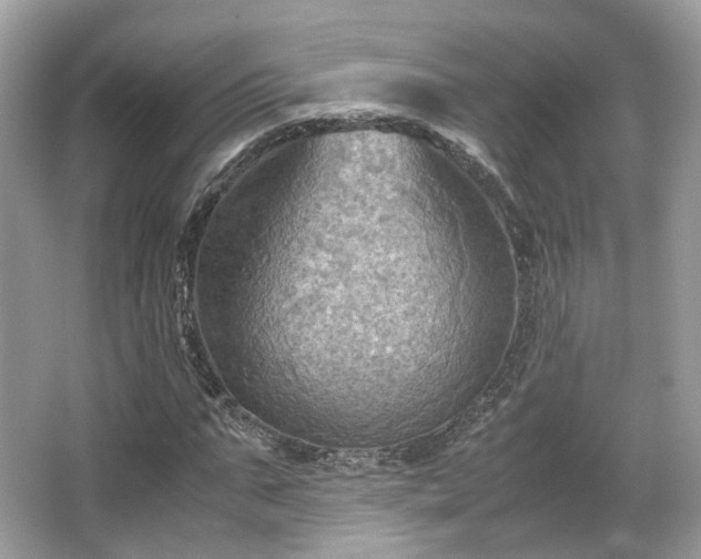 X0000066110871200603131259