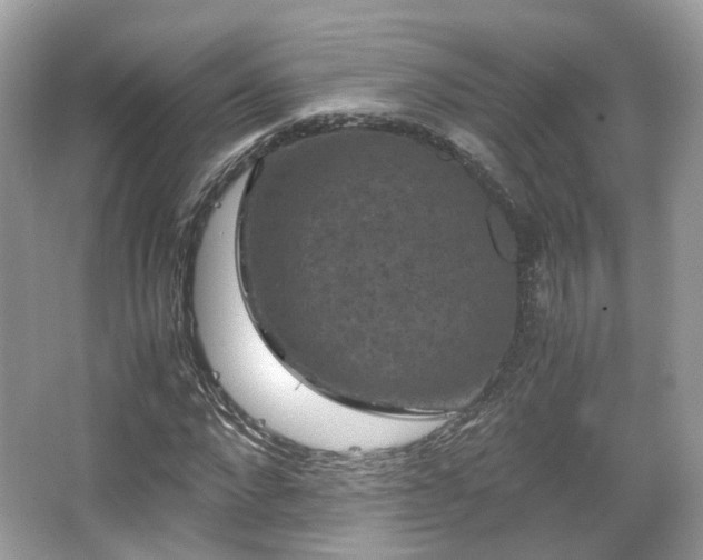 X0000066110872200603131259