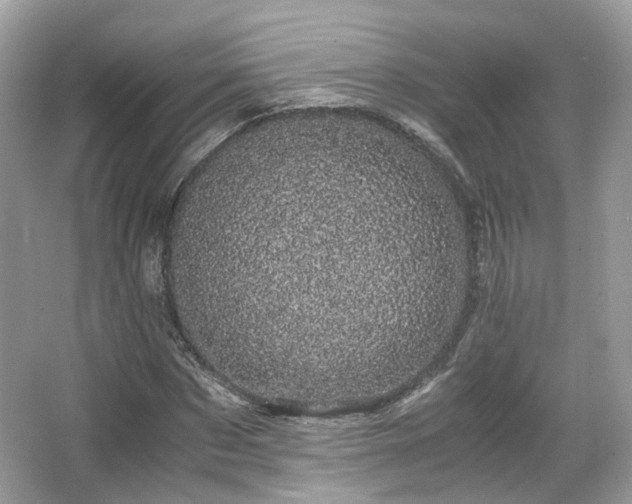 X0000066110873200603131259