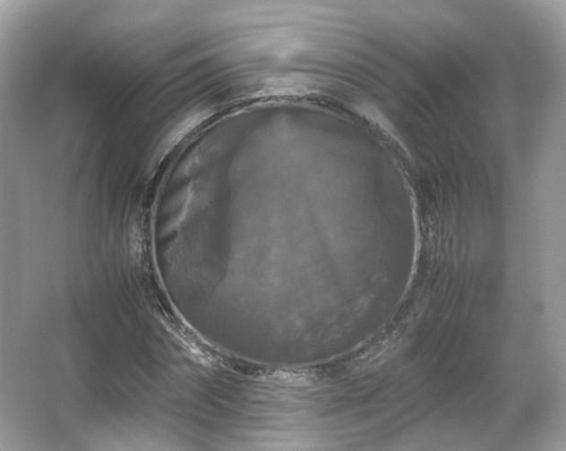 X0000066110874200603131259