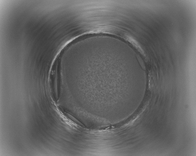 X0000066110876200603131259