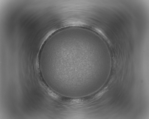 X0000066110883200603131259