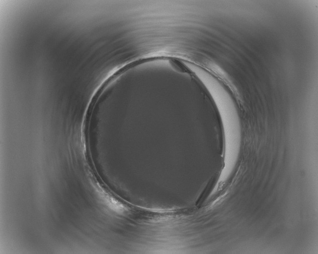 X0000066110892200603131259