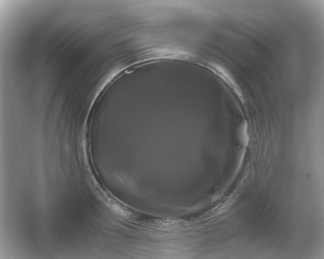 X0000066110899200603131259