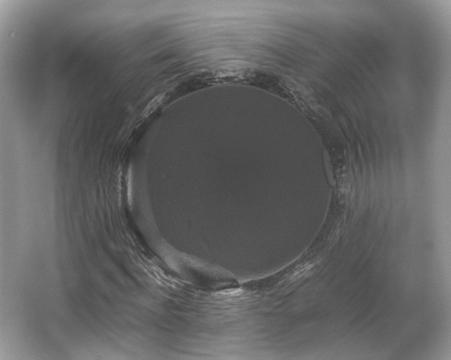X0000066110916200603131258