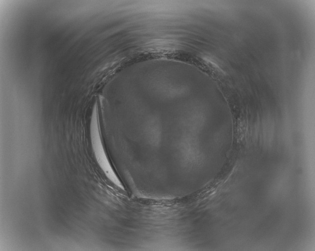 X0000066110917200603131258