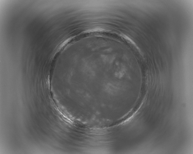 X0000066110921200603131258