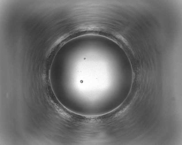 X0000066110922200603131258