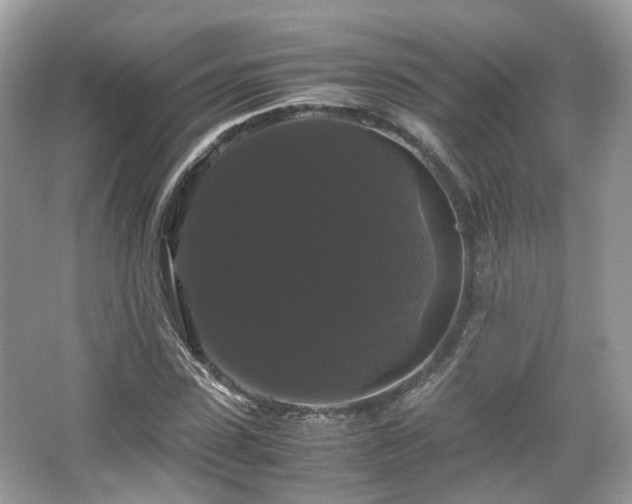 X0000066110923200603131258