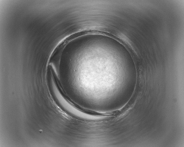 X0000066110924200603131258