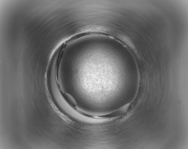 X0000066110936200603131258
