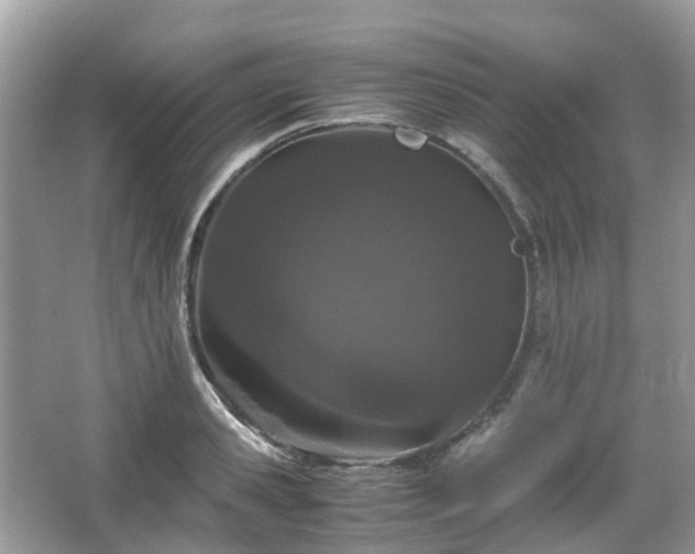 X0000066110941200603131258