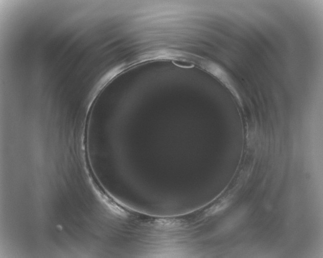 X0000066110954200603131258
