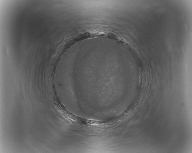 X0000066110961200603131258