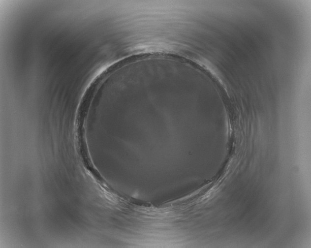 X0000066110975200603131257