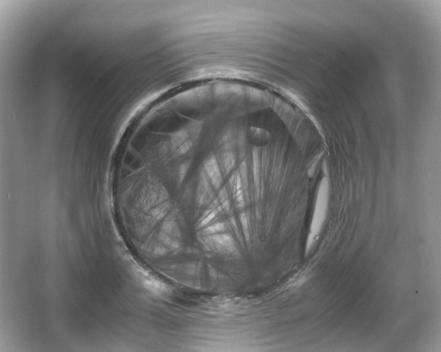 X0000066110987200603131257