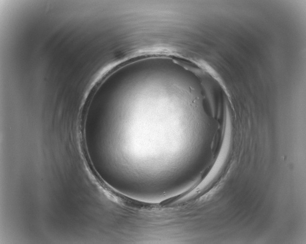 X0000066110989200603131257