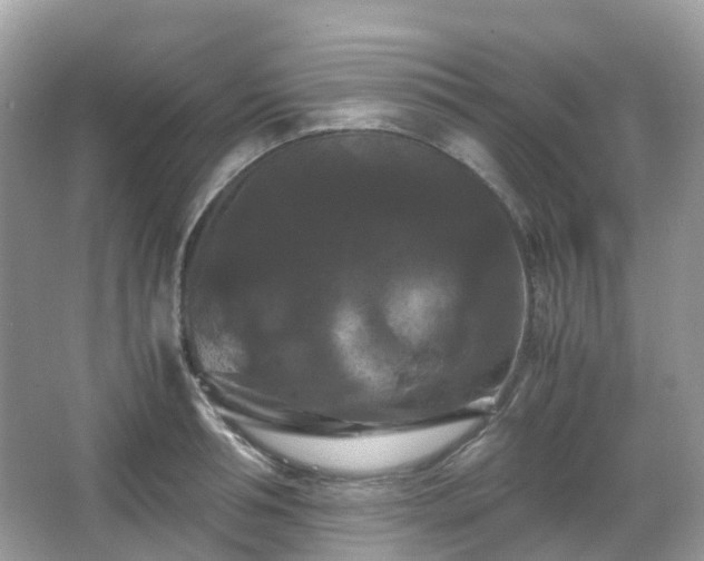 X0000066110994200603131257