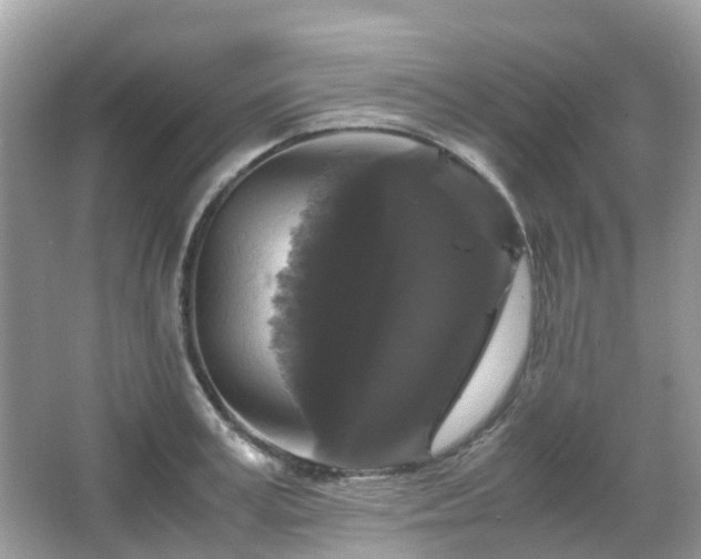 X0000066110995200603131257