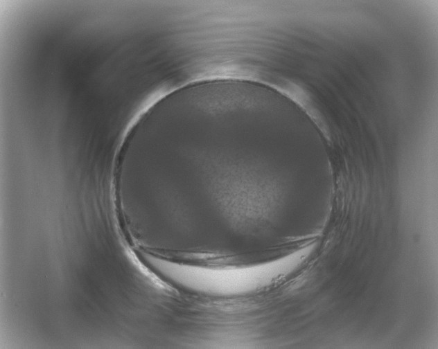 X0000066110998200603131257