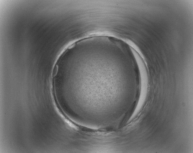 X0000066111005200603131257