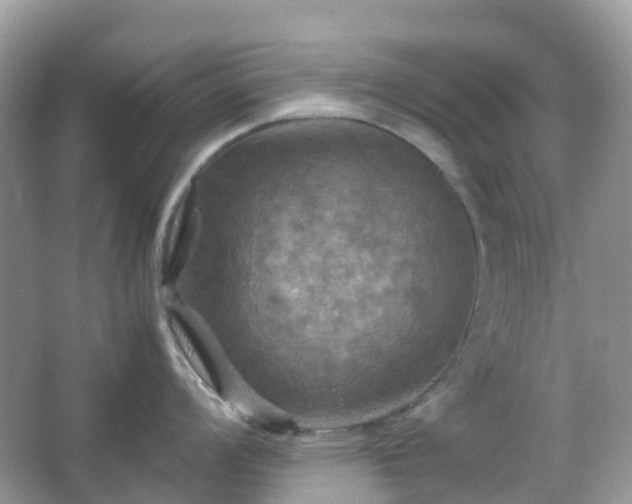X0000066111008200603131257