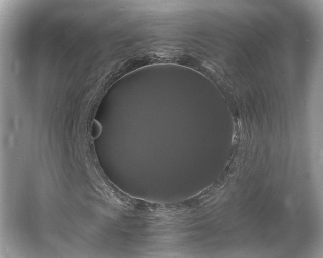 X0000066111009200603131256