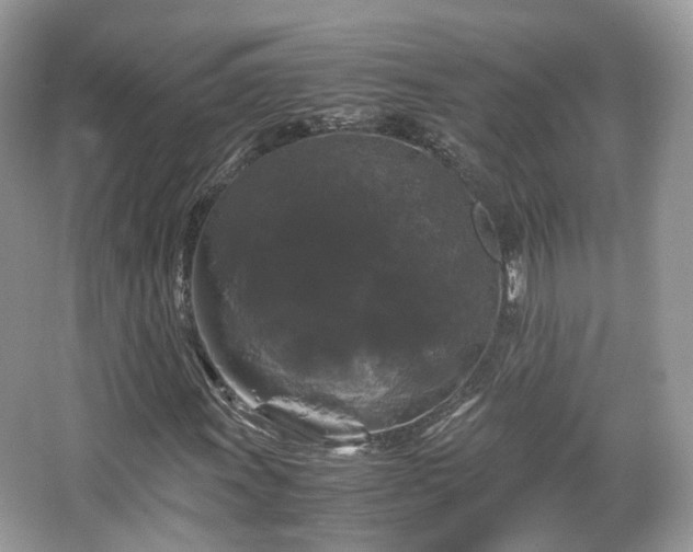 X0000066111011200603131256