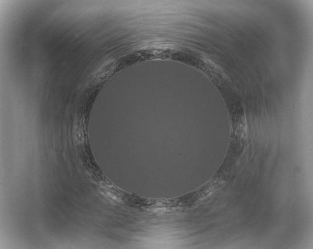 X0000066111014200603131256