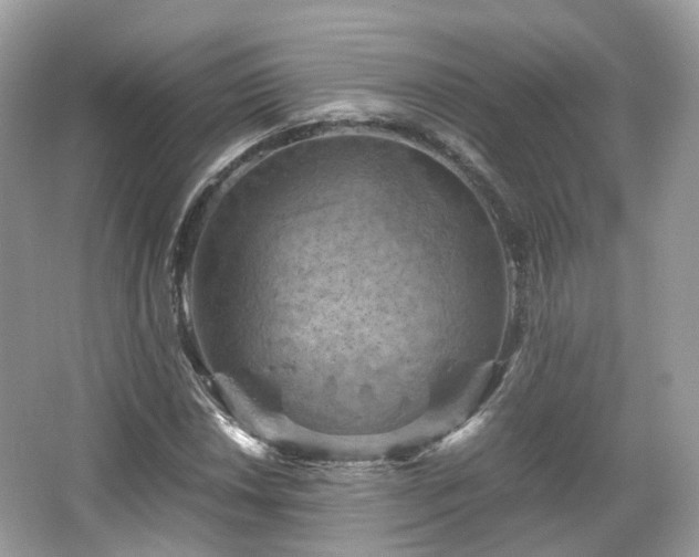 X0000066111018200603131256