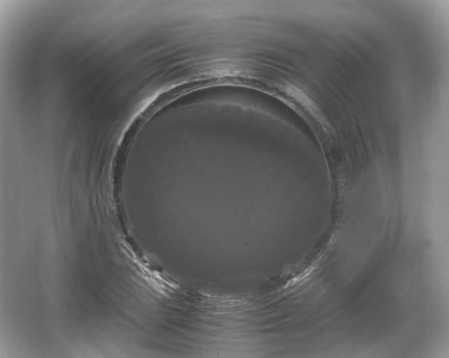 X0000066111023200603131256