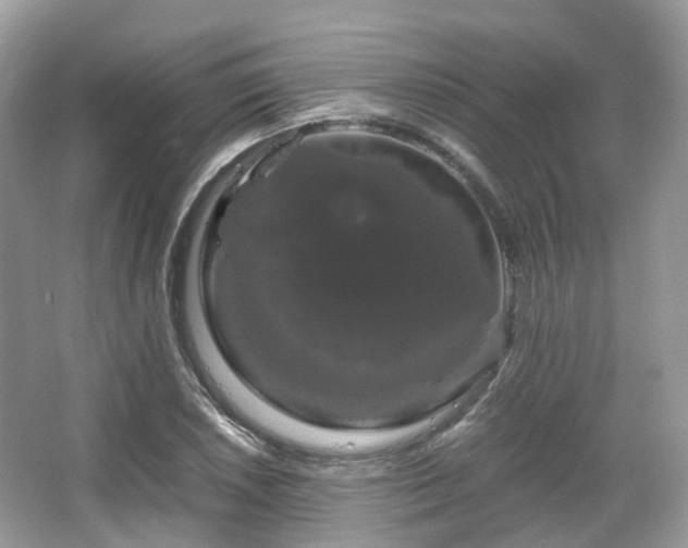 X0000066111026200603131256
