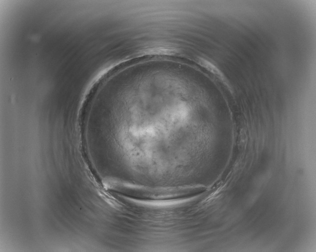 X0000066111027200603131256