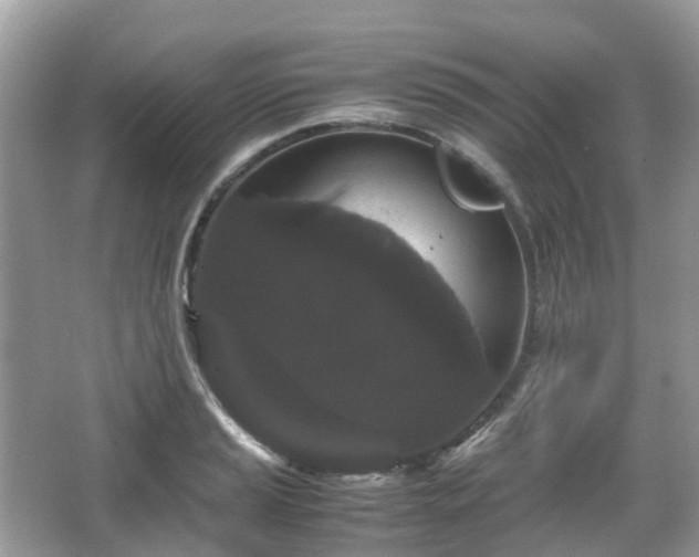X0000066111037200603131257