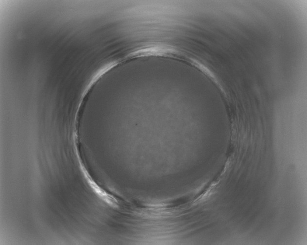 X0000066111042200603131257