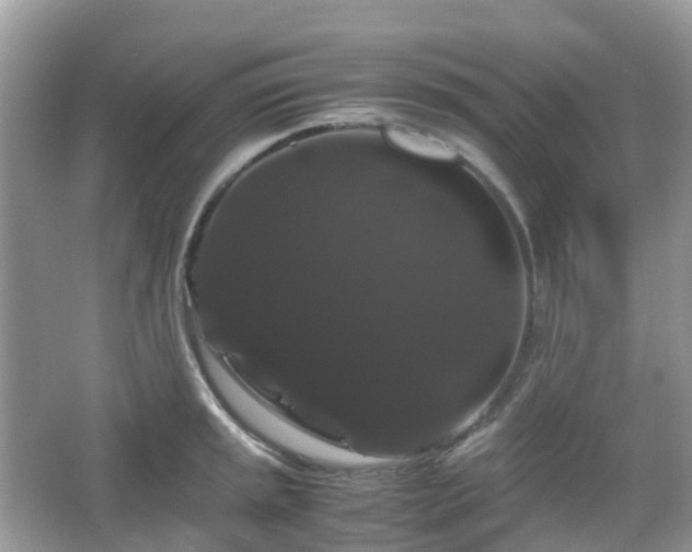 X0000066111045200603131257