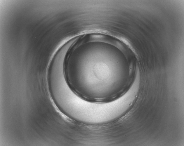 X0000066111046200603131257