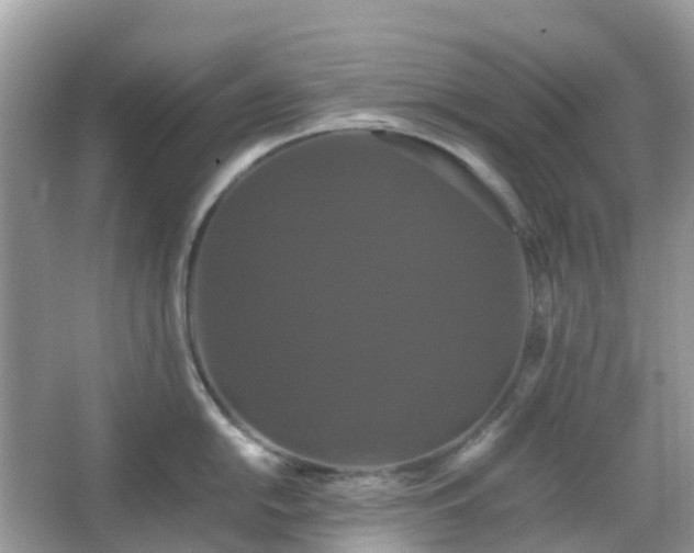 X0000066111054200603131257