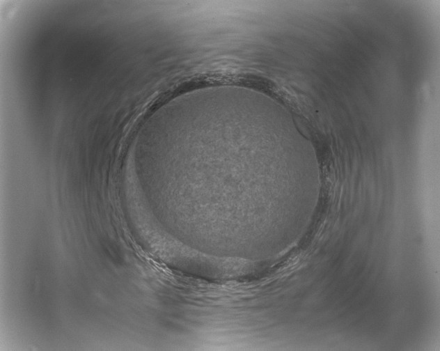 X0000066111057200603131256