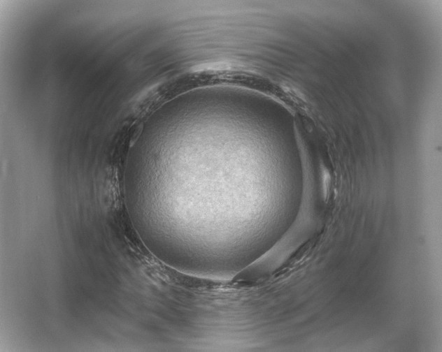 X0000066111062200603131256
