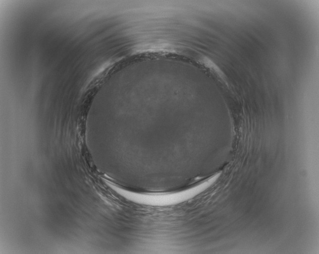 X0000066111064200603131256