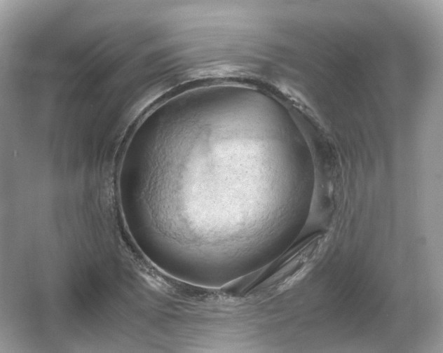 X0000066111073200603131256