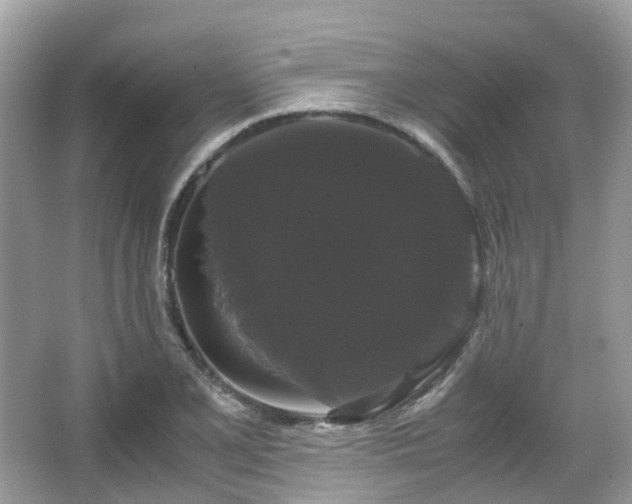 X0000066111077200603131256