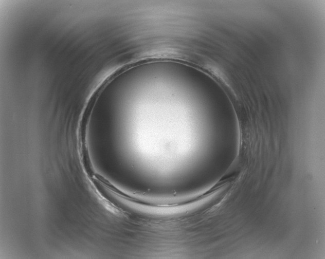 X0000066111082200603131256