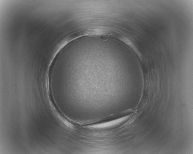 X0000066111083200603131256