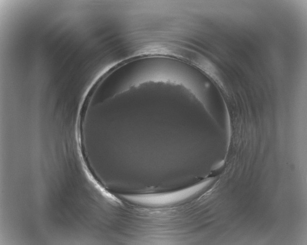 X0000066111084200603131256